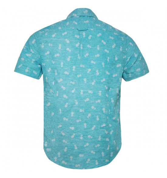 Camisa Alma de Praia PIneaple Green - 2