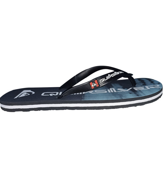 Chinelo Quiksilver Molokai Bloomfade Preto - 4