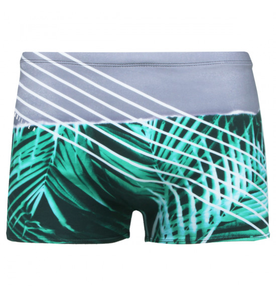 Sunga Quiksilver Boxer Slash Palm Verde