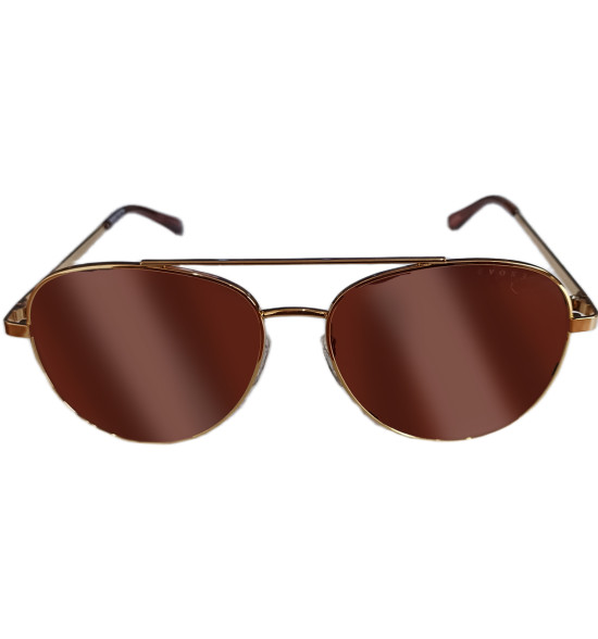 Óculos Evoke For You DS78 04A Shine Gold/ Lente Brown Gradient - 2