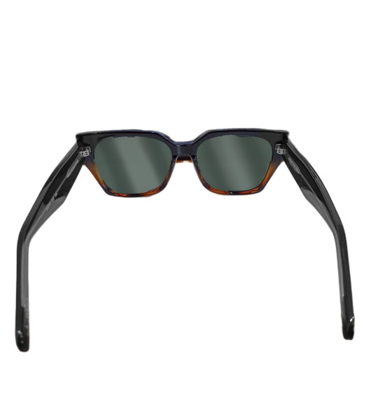 Óculos Evoke For You DS102 A21 Shine Turtle/Lente G15 Green - 4