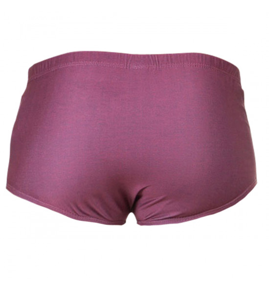 Sunga Oakley Striped Swim Trunk Vinho - 2