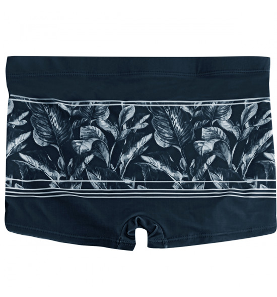 Sunga Boxer Mash Listrada Folhagem Cinza Azulada - 2