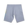 Bermuda Água Oakley Fade Essencial Board Cinza - 2