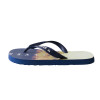 Chinelo Quiksilver Molokai Everyday Ranger Marinho - 3