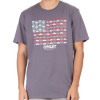 Camiseta Oakley Eyewear Flag Tee Cinza - 3