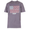 Camiseta Oakley Eyewear Flag Tee Cinza - 1