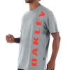 Camiseta Oakley Big Bark Tee Cinza - 3