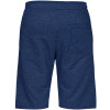 Bermuda Walk Oakley Big Ellipse Shorts Dark Blue - 2