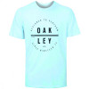 Camiseta Oakley DPT Circle Tee Azul - 1