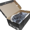 Tênis Dc Shoes Course XL Black White - 6