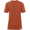 Camiseta Quiksilver Everyday Telha - 2