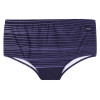 Sunga Oakley Sunset Iridium Swim Trunk Preto - 1