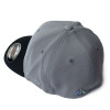 Boné Quiksilver Flex Plate Pack Cinza - 2