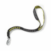 Chaveiro Oakley Standard Lanyard Preto Com Amarelo - 1