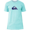 Camiseta Quiksilver Basic Azul Claro - 1