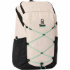Mochila Rip Curl Overland 30L Search Stone – Estilo Adventure, Alta Resistencia e Compartimento Notebook - 1