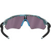 Óculos Oakley Radar EV Path Sanctuary Swirl/Lente Prizm Grey - 4