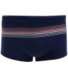 Sunga Oakley Stripped Swim Trunk Azul - 1