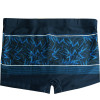 Sunga Boxer Mash Listrada Folhagem Preto e Marinho - 2