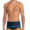 Sunga Slip Mash Hang Loose Listra Folhagem Cinza - 3