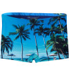 Sunga Boxer Mash Estampada Praia Azul - 1